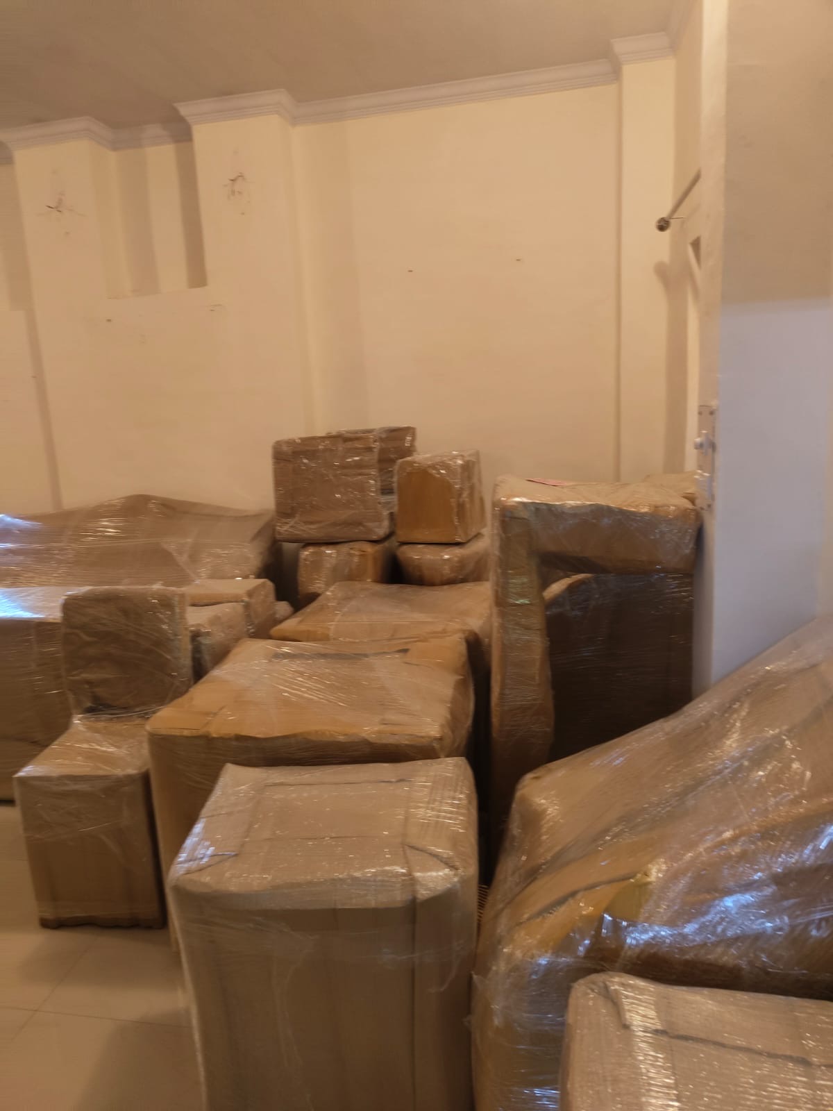 Star Packers operational photo 27